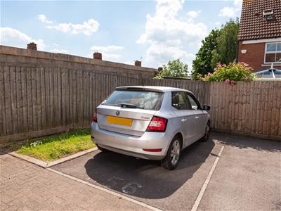 Picture 30